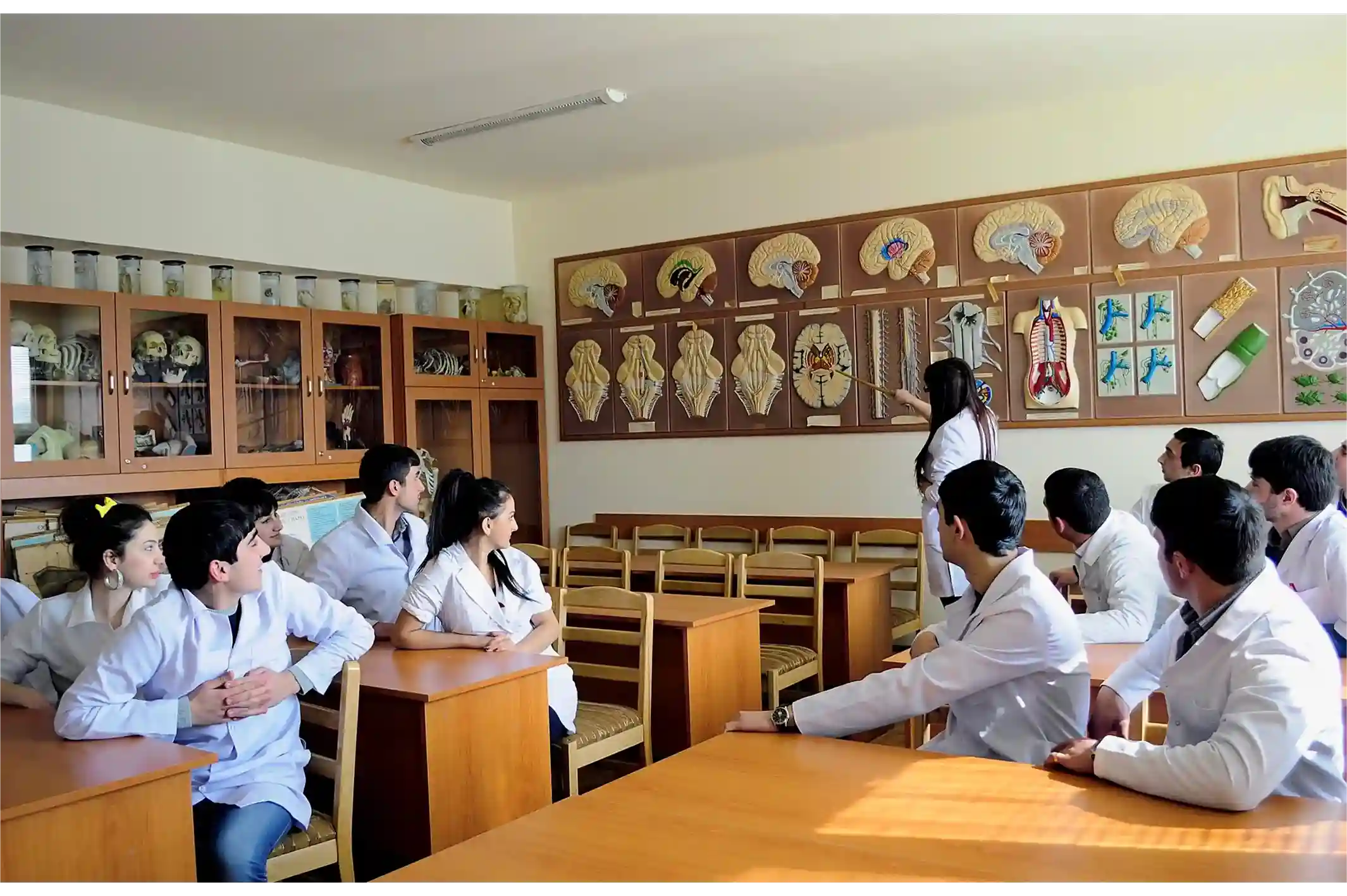 The University of Traditional Medicine