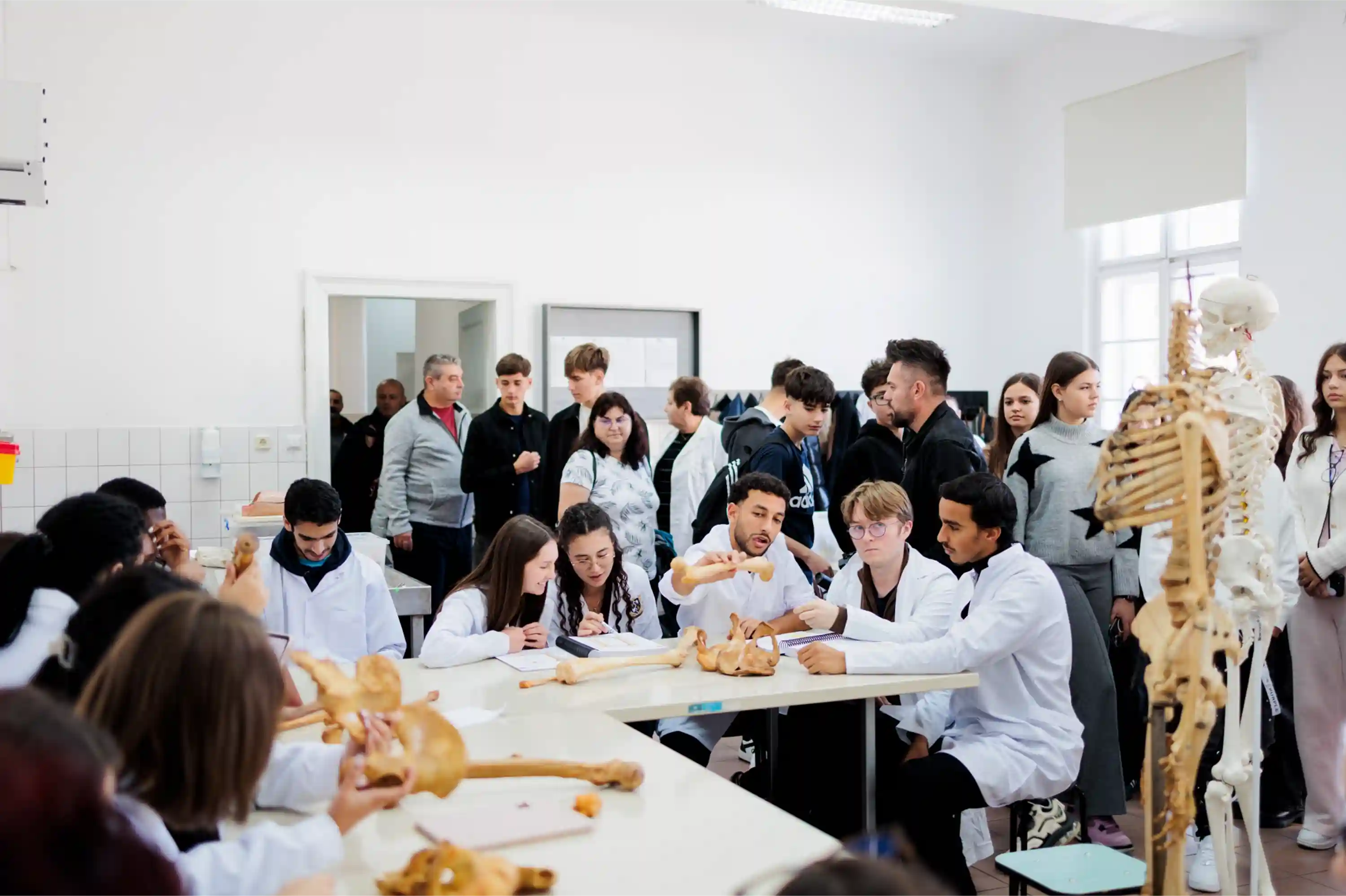 Victor Babeş University of Medicine and Pharmacy