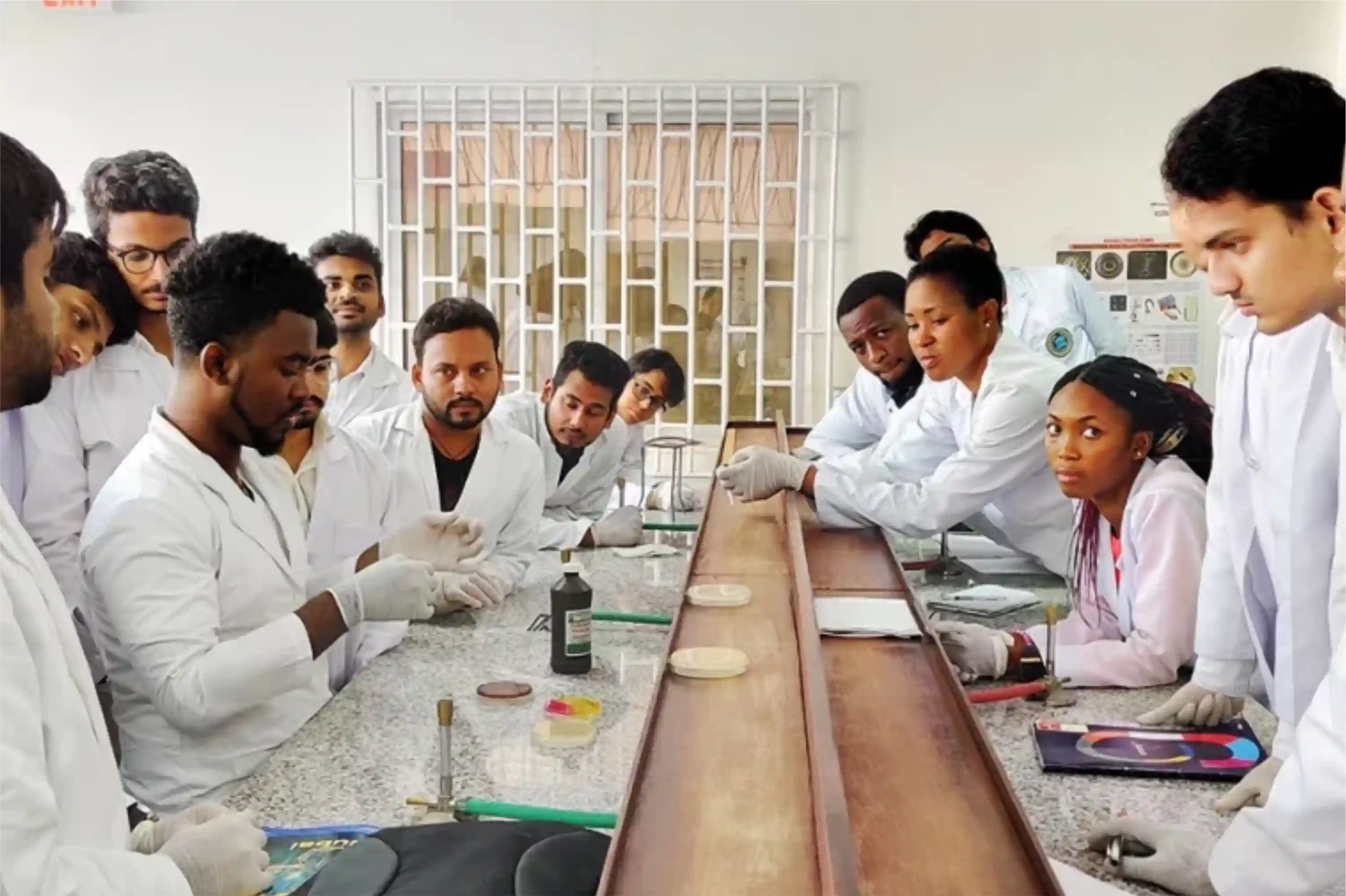 Lincoln American University