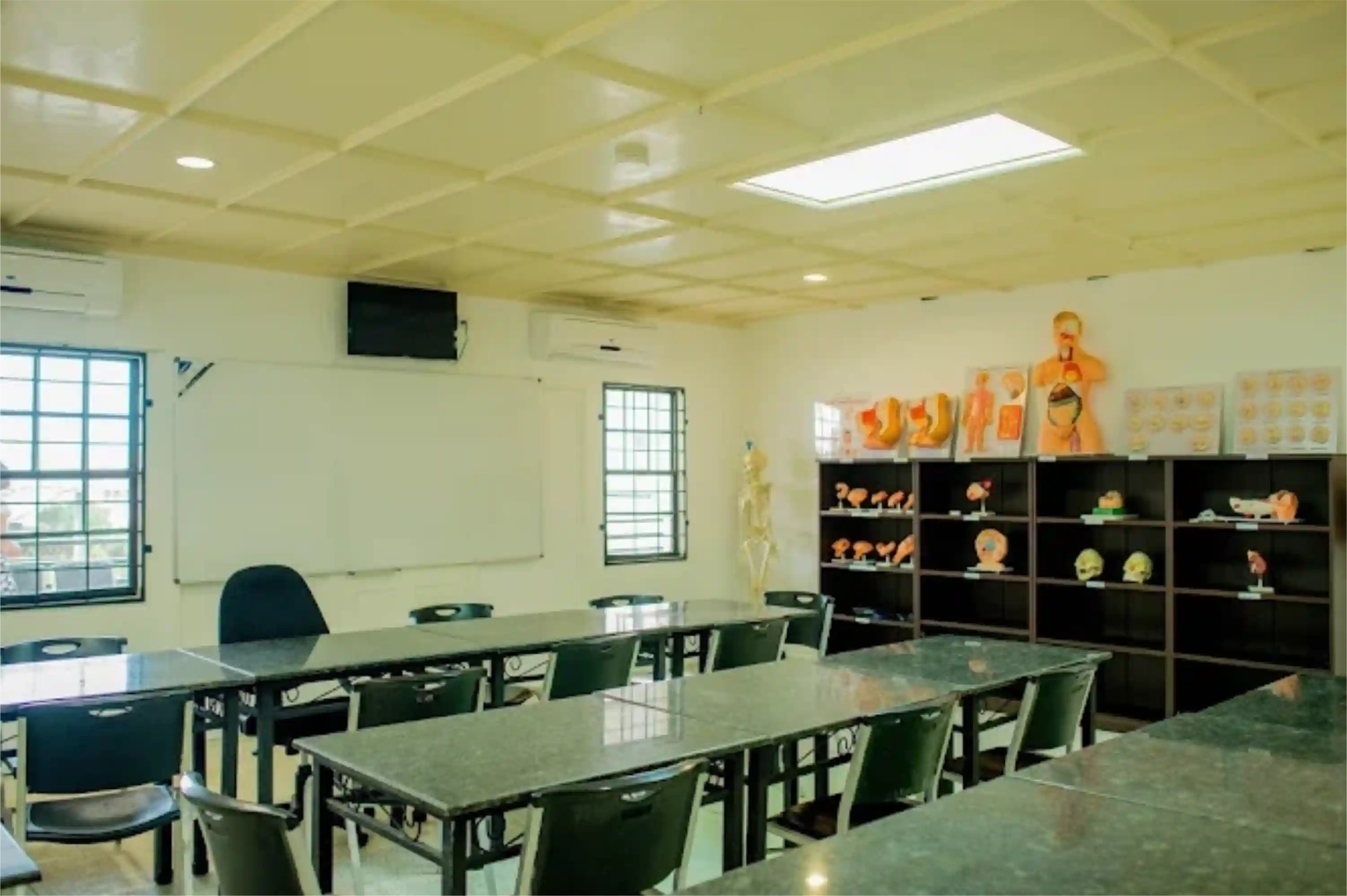 Alexander American University School of Medicine